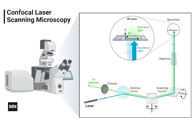 Confocal Microscope