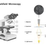 Dark-Field Microscope