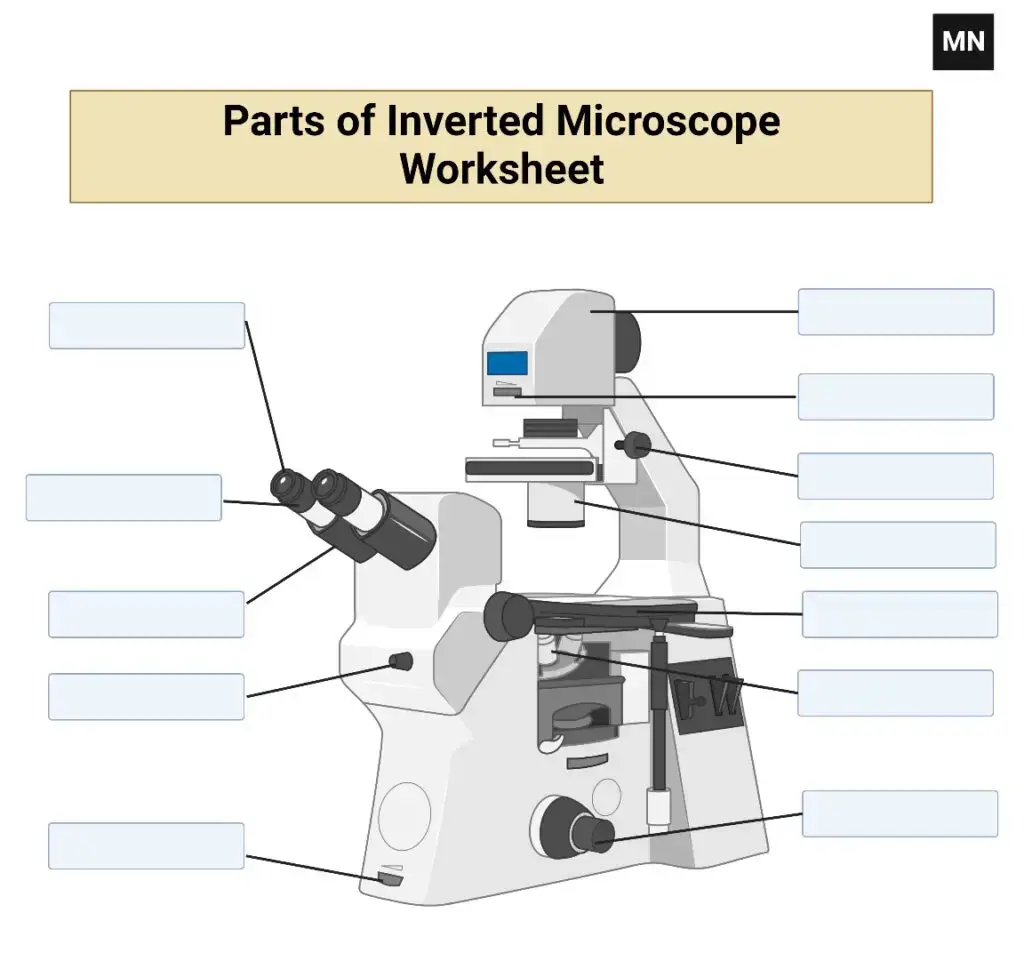 Inverted Fluorescent Microscope worksheet
