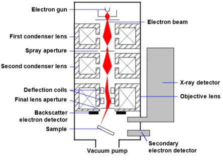 Mechanism of Scanning Electron Microscope| image