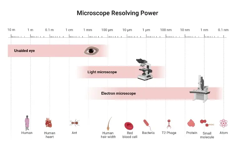 Microscopes