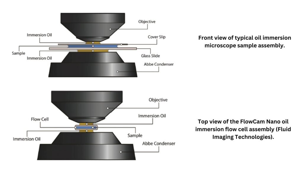 Oil Immersion Technique