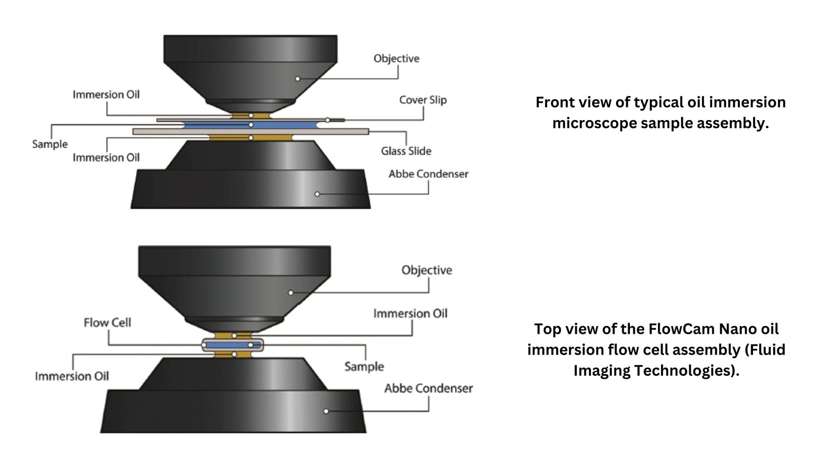 Oil Immersion Technique