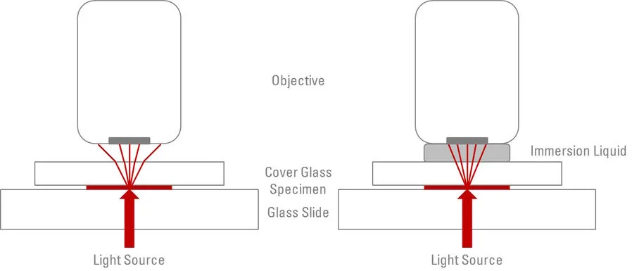 Oil Immersion Technique