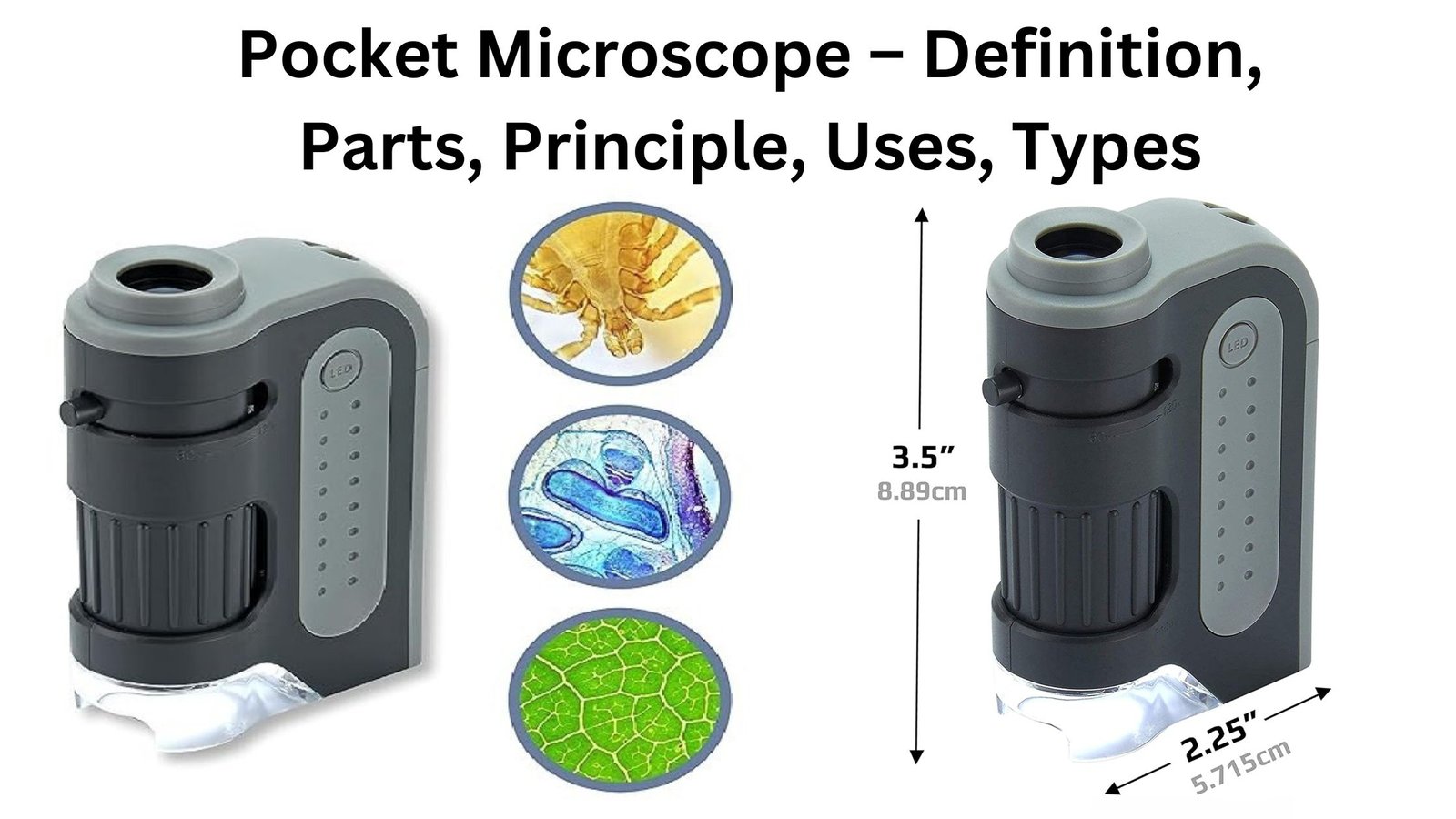 Pocket Microscope – Definition, Parts, Principle, Uses, Types