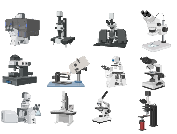 Types of Microscopes With Definitions, Principle, Uses, Labeled Diagrams