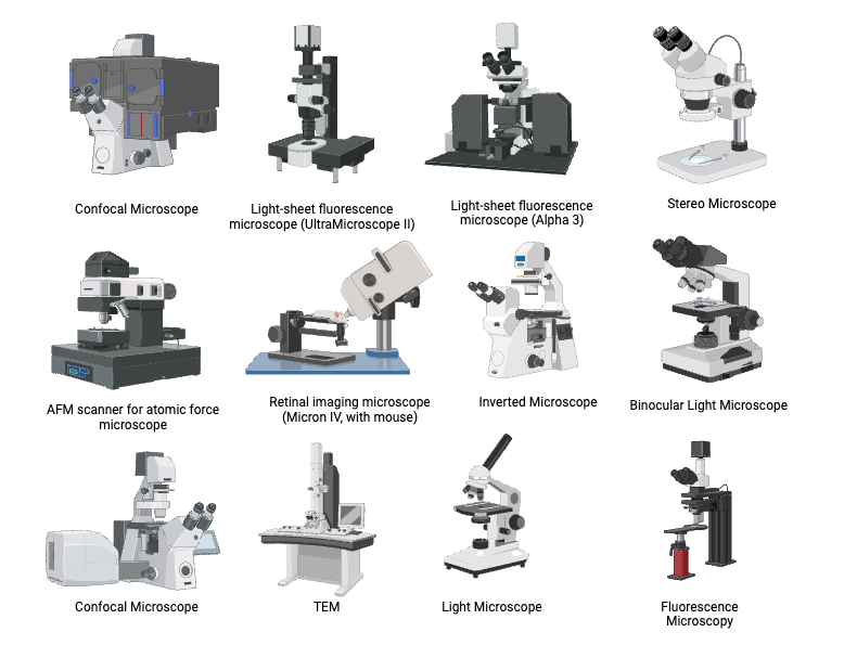 Types of Microscopes
