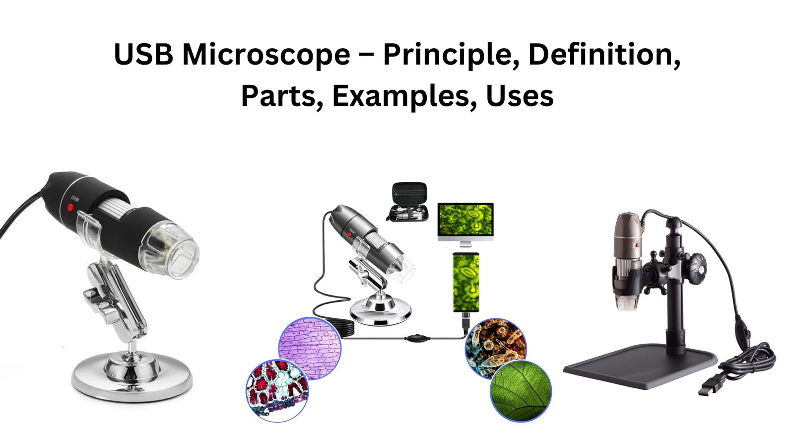 USB Microscope – Principle, Definition, Parts, Examples, Uses